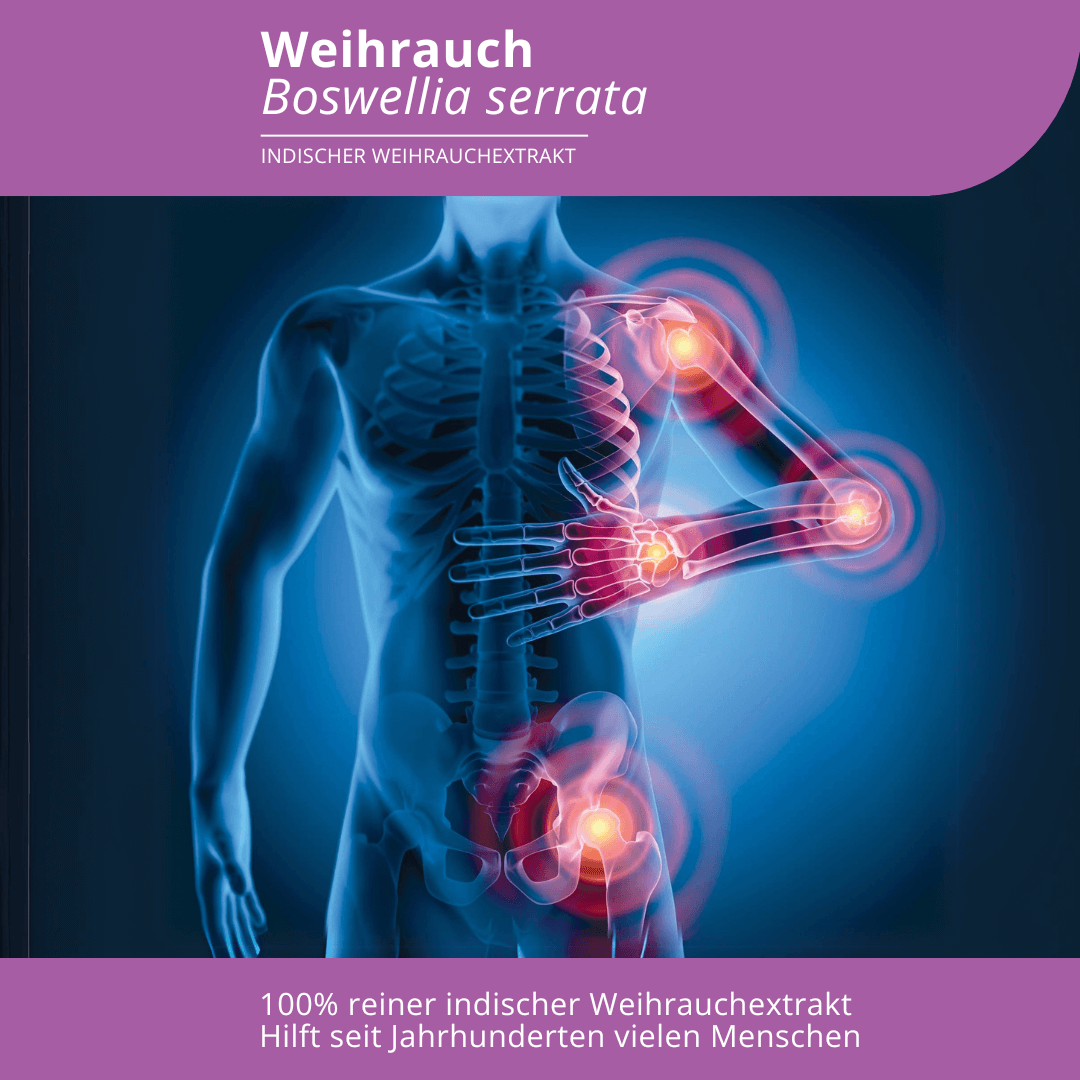 <strong>Evolution</strong><br> Weihrauch - 90 Kapseln</br> – Bild 2