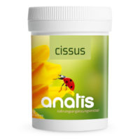 <b>Anatis </b>Cissus