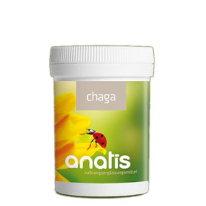 <b>Anatis </b>Chaga Pilz