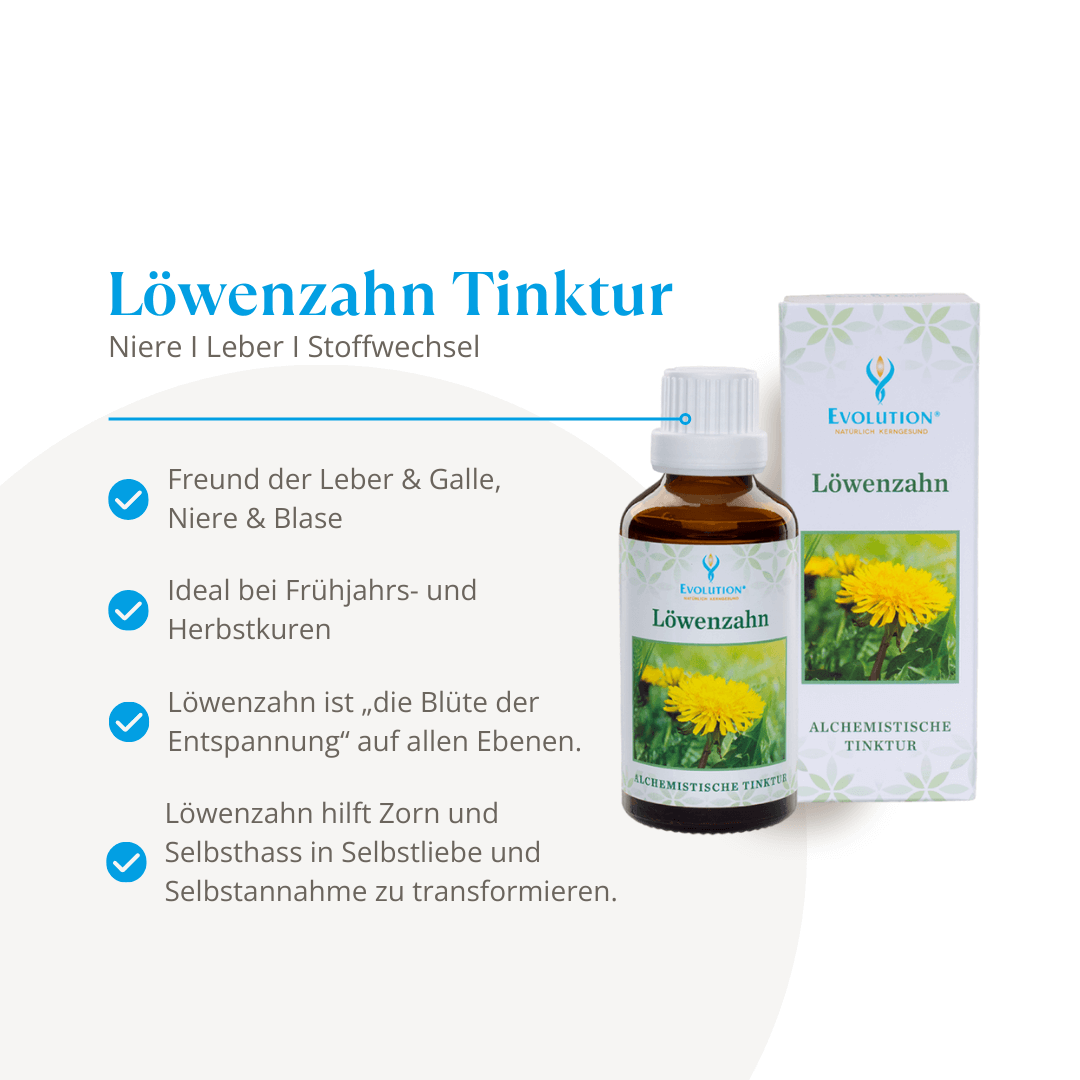 <strong>Evolution</strong><br> Löwenzahn Tinktur 50ml</br> – Bild 2