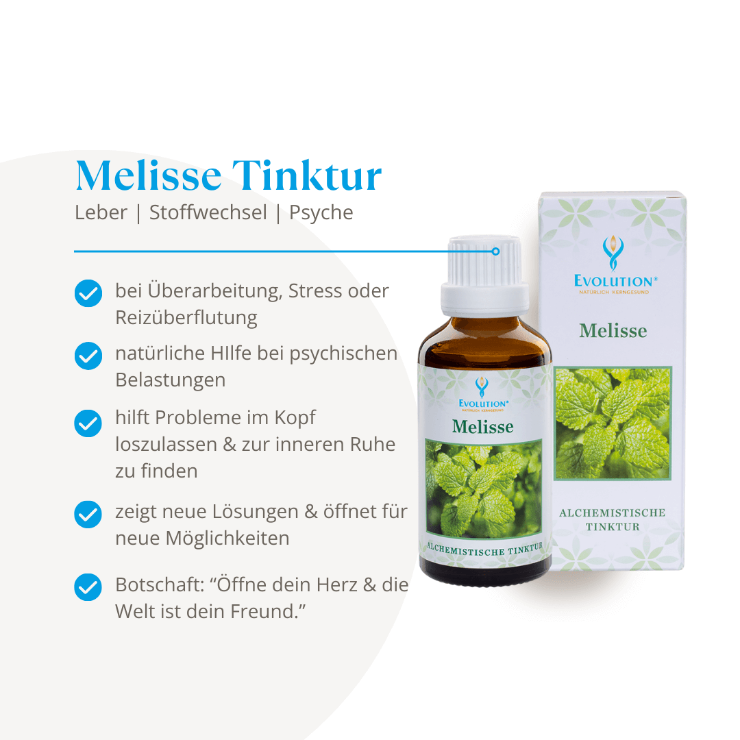 <strong>Evolution</strong><br> Melisse Tinktur 50ml</br> – Bild 2