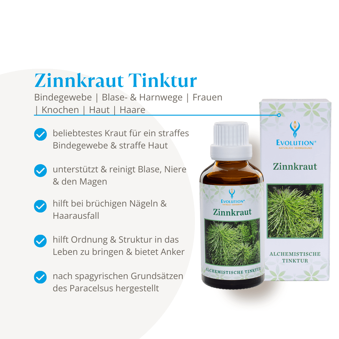 <strong>Evolution</strong><br> Zinnkraut Tinktur - 50ml</br> – Bild 2