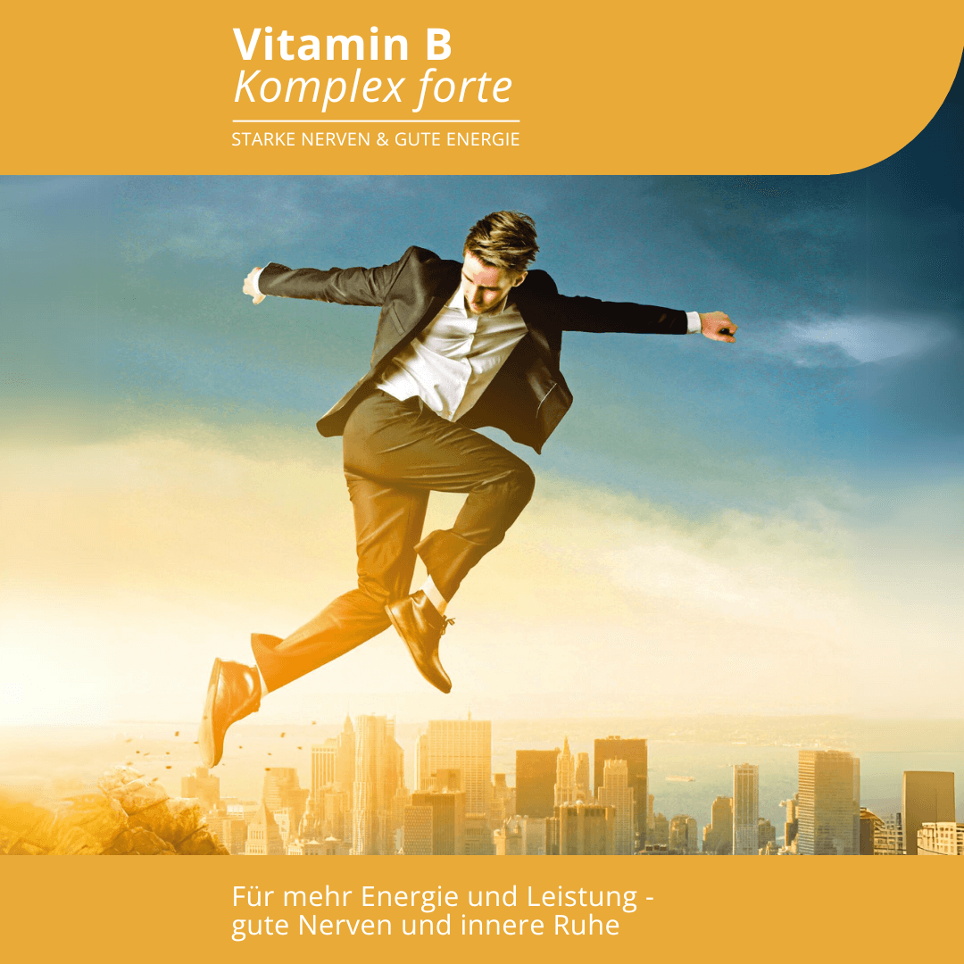 <strong>Evolution</strong><br> Vitamin B Komplex forte - 90 Kapseln</br> – Bild 2