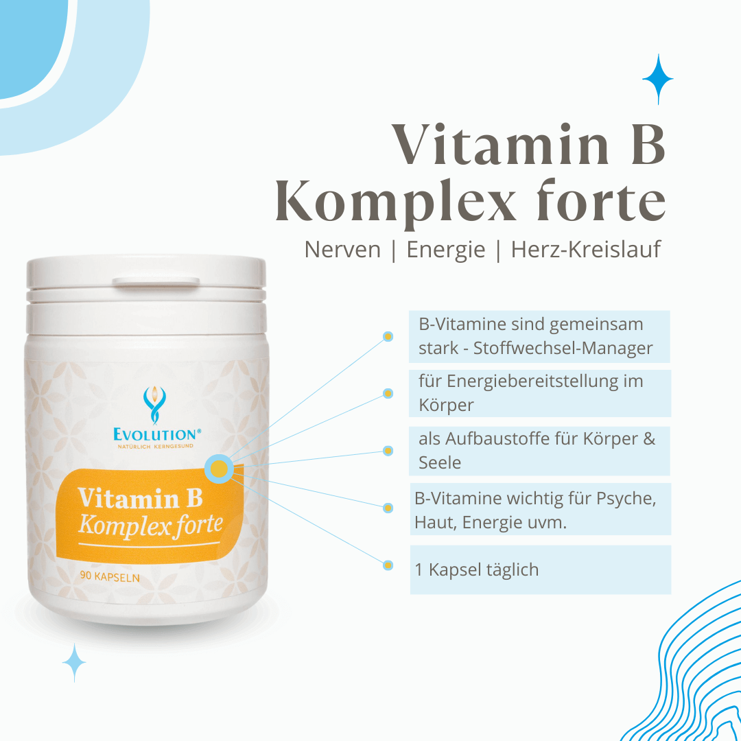 <strong>Evolution</strong><br> Vitamin B Komplex forte - 90 Kapseln</br> – Bild 3