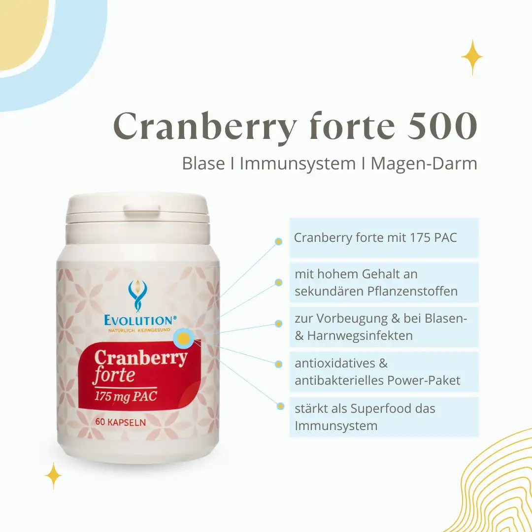 <strong>Evolution</strong><br> Cranberry forte 175 - 60 Kapseln</br> – Bild 3