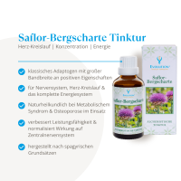 <strong>Evolution</strong><br> Saflor-Bergscharte Tinktur - 50ml</br> – Bild 2