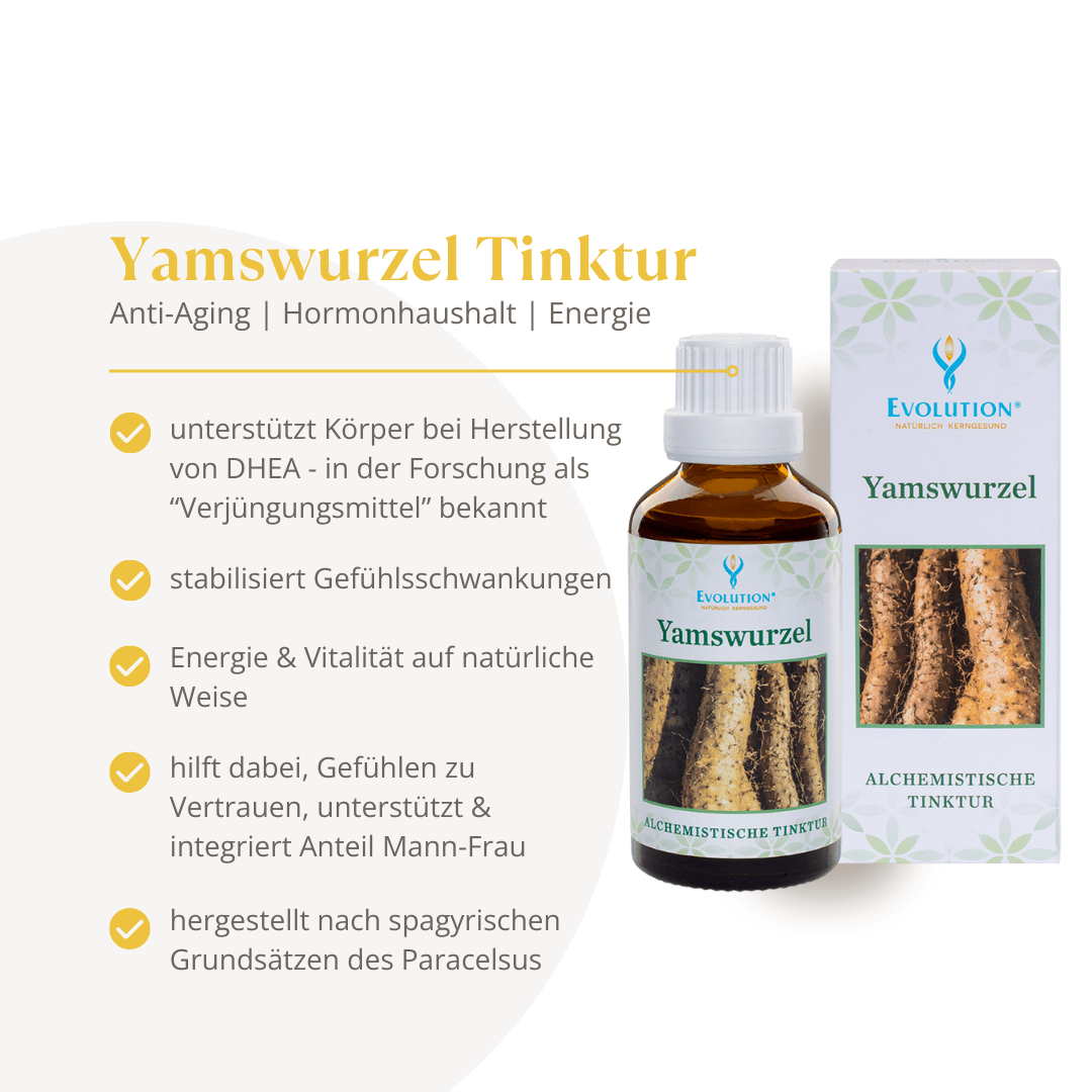 <strong>Evolution</strong><br> Yamswurzel Tinktur - 50ml</br> – Bild 2