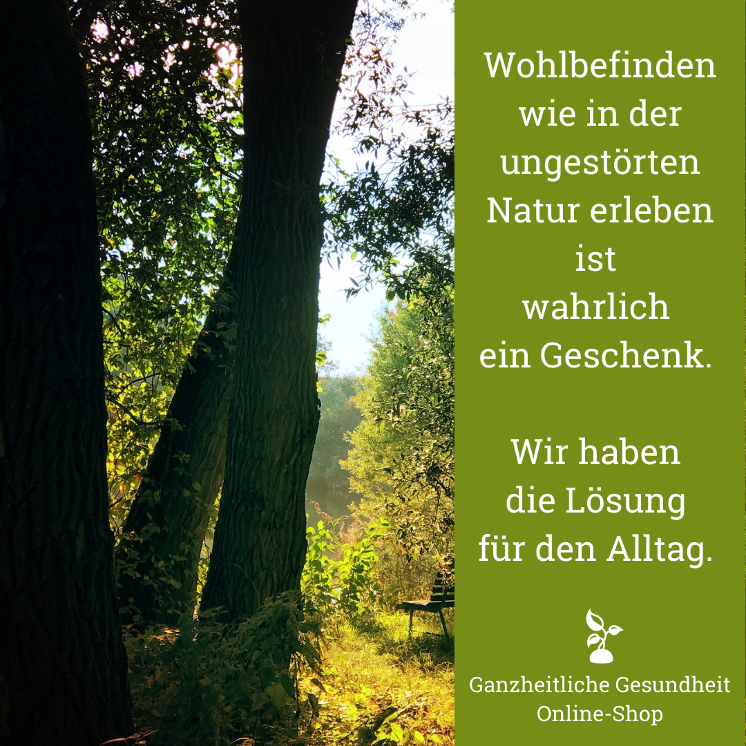 Read more about the article Leben wie in unberührter Natur.
