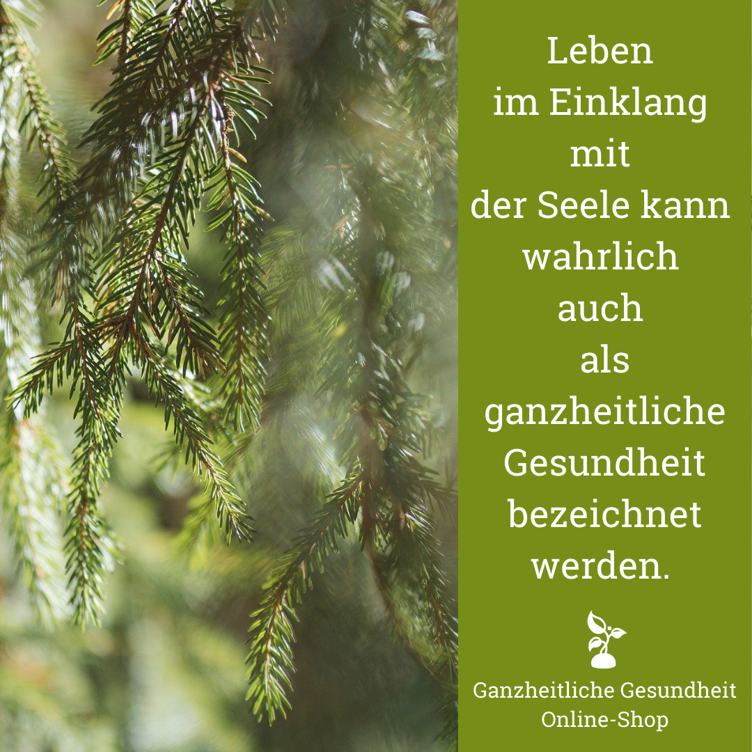 Read more about the article Leben im Einklang mit der Seele.