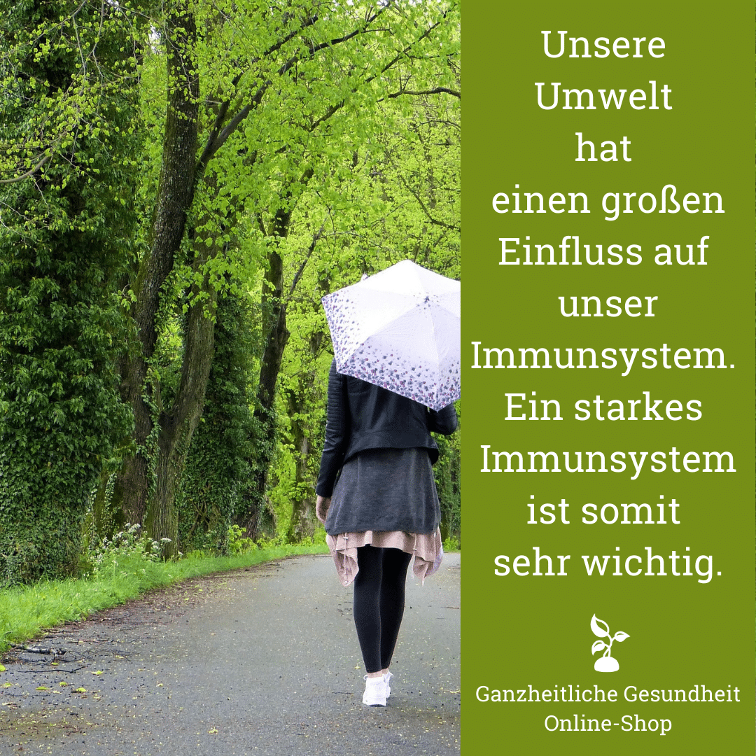 ganzheitliche_gesundheit_immunsystem_umwelteinwirkung