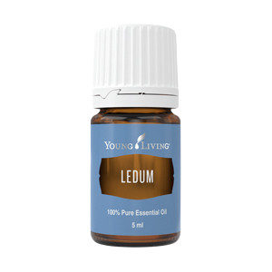 <strong>Young Living</strong><br>Ledum 5ml</br>
