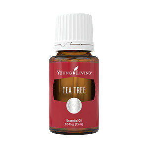 <strong>Young Living</strong><br>Teebaum 15ml</br>
