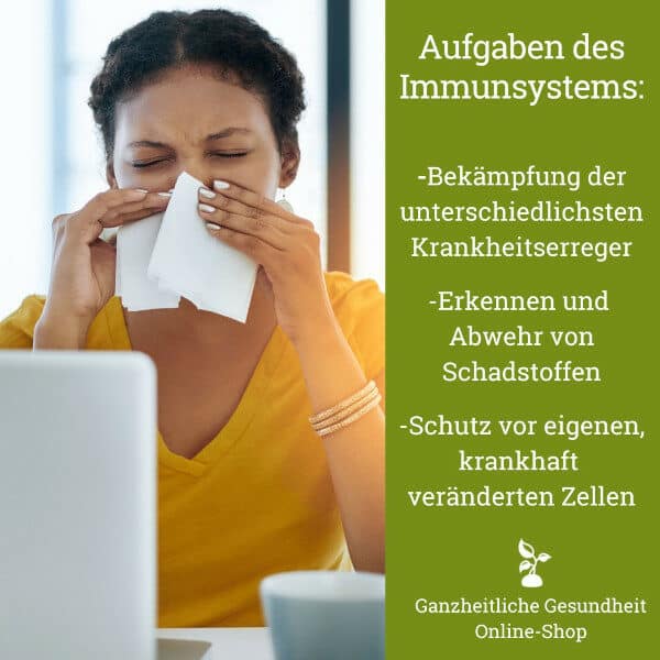 Immunsystem Aufgaben