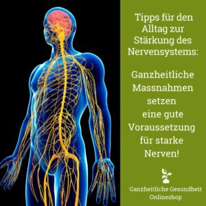 Körper mit Nerven und Nervensystem