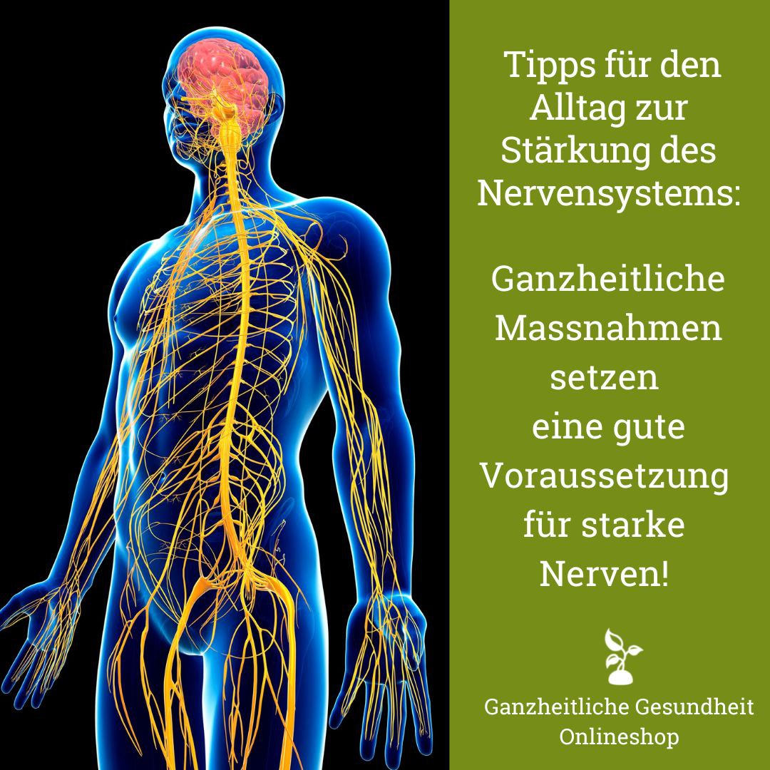 Read more about the article Tipps zur Stärkung des Nervensystems