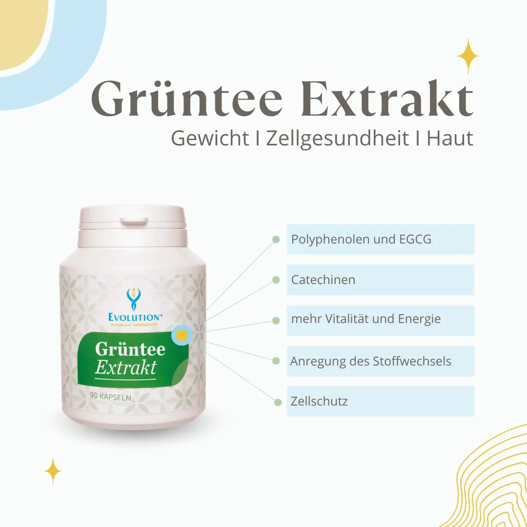 <strong>Evolution</strong><br> Grüntee Extrakt Kapseln </br> – Bild 3