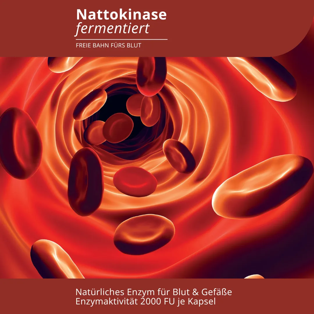 <strong>Evolution</strong><br> Nattokinase fermentiert Kapseln </br> – Bild 2