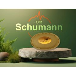 <strong>Schumann 7,83</strong><br> Bodyguard soft
