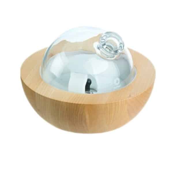 <strong>Young Living</strong><br> Aria Diffuser