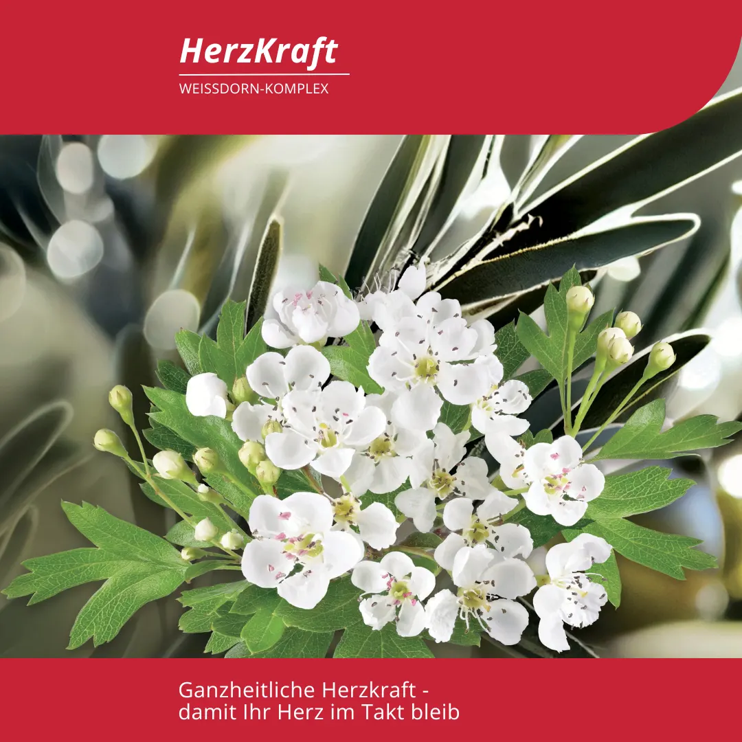 Herz stärken