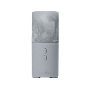 <strong>Young Living</strong><br>Viya Diffuser