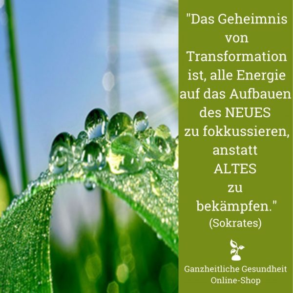 Das Geheimnis von Transformation